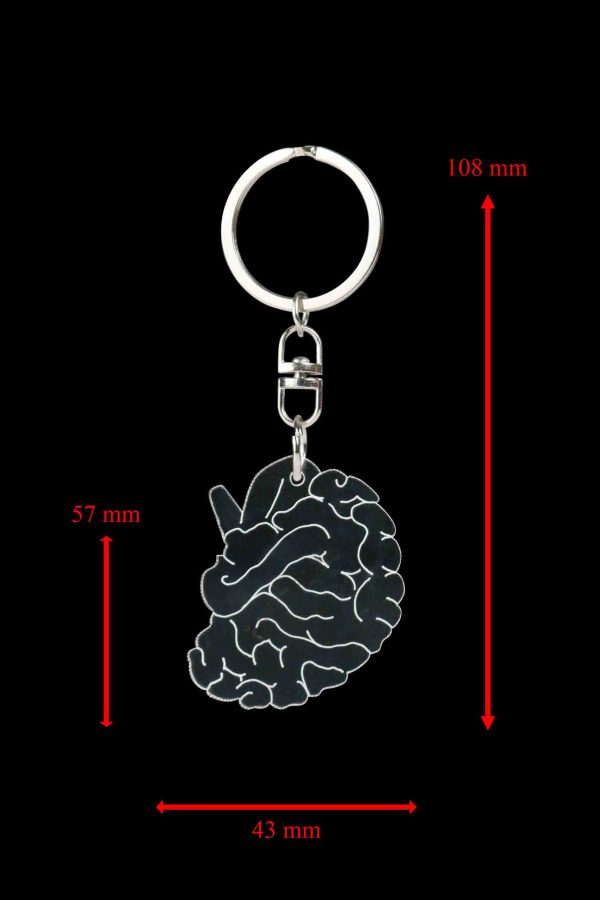 "Clear Acrylic Plastic Brain Key Rings" Key Ring For Car, Bike, Home, Back Pack, Best Gift. - Image 2